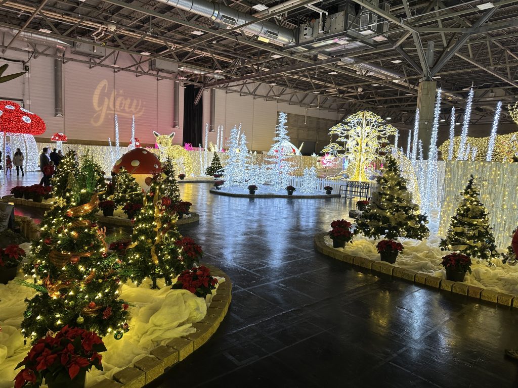 The scene at Glow Enchanted Forest in 2025.