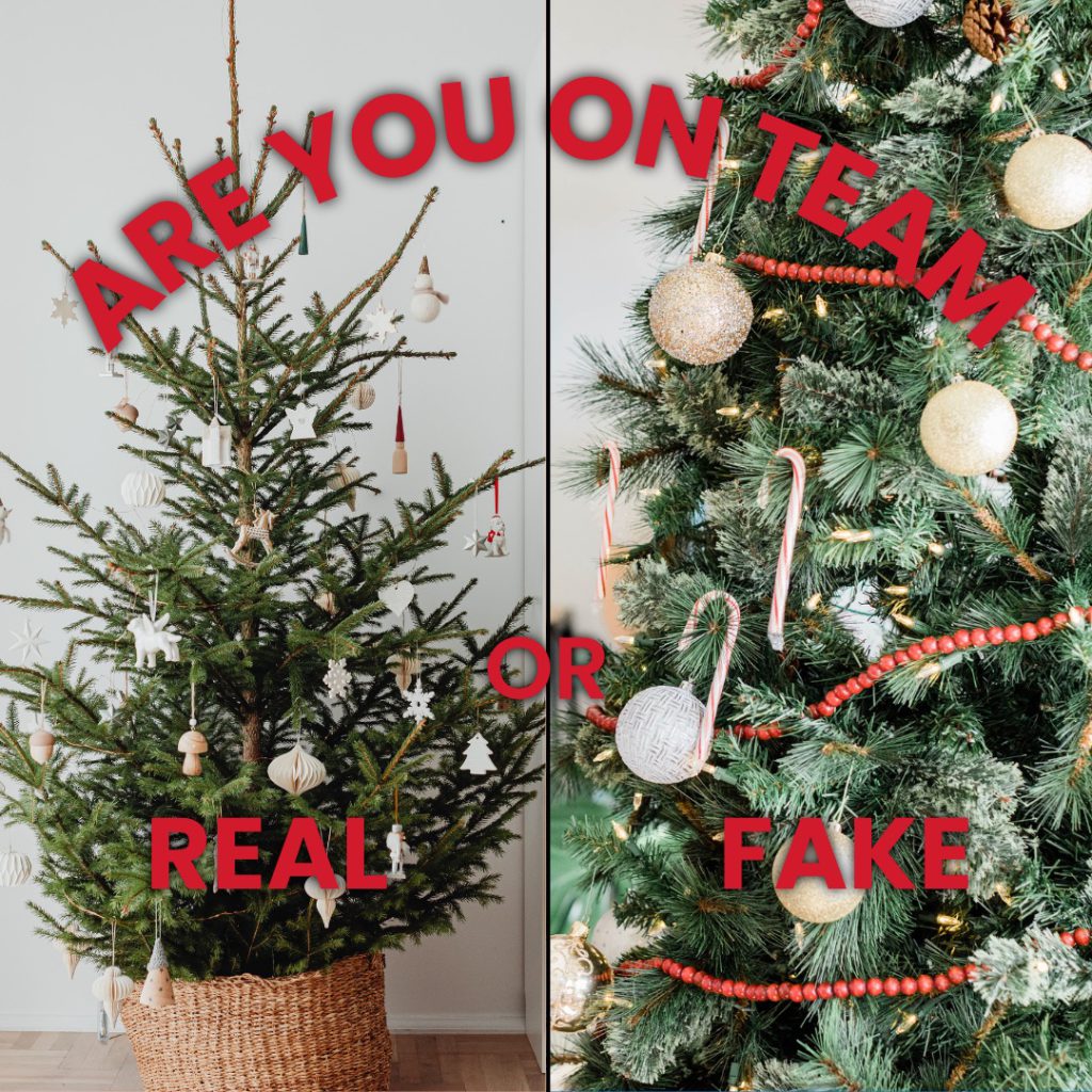 Are you on team real or fake tree?
