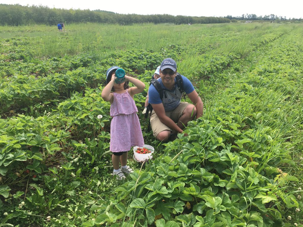 Staying hydrated while picking strawberries near Edmonton