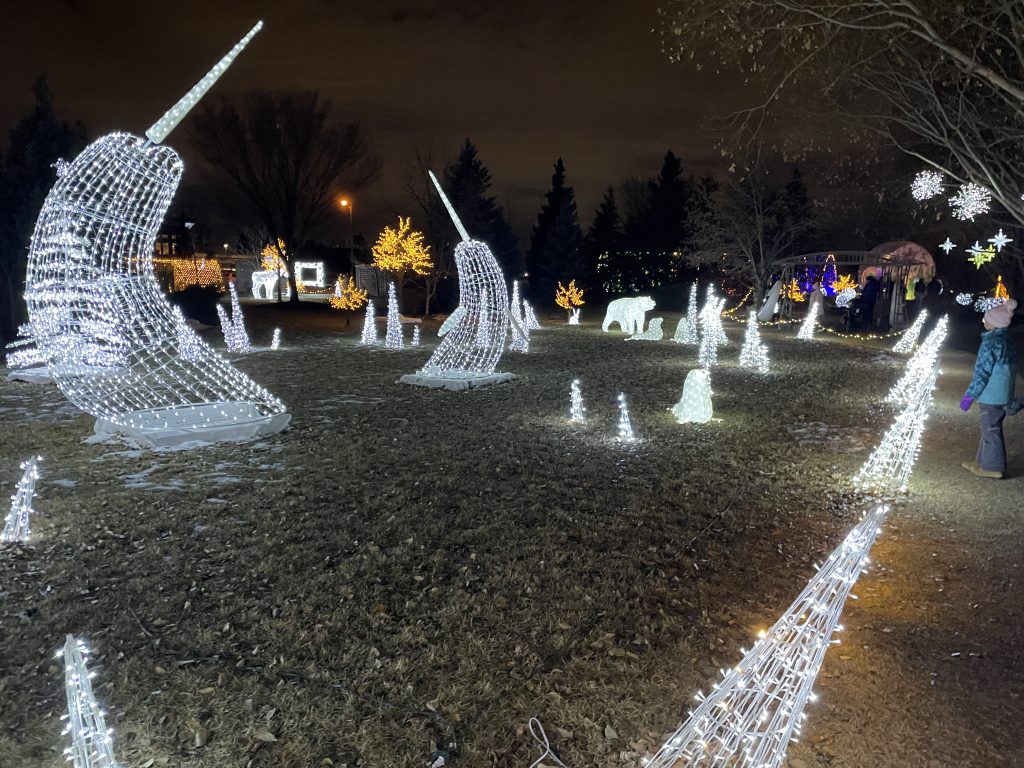 Greenland Garden Centre Christmas Lights in 2024