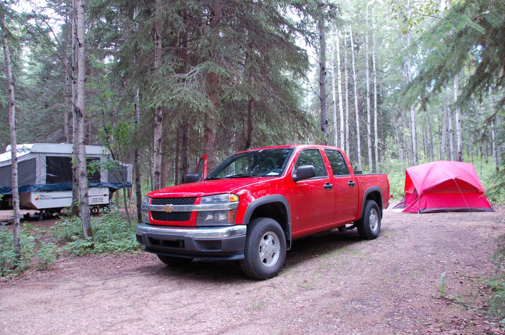 Treed campsite at Long Lake