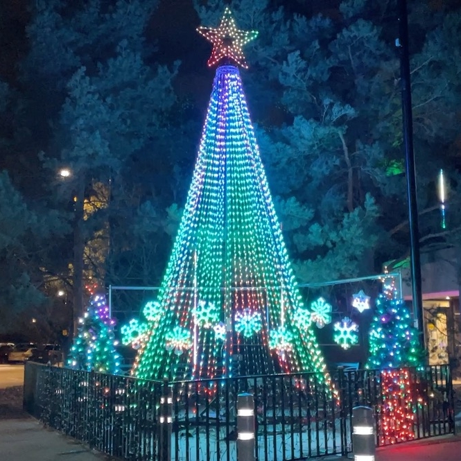 Singing LED Christmas tree in Sherwood Park.