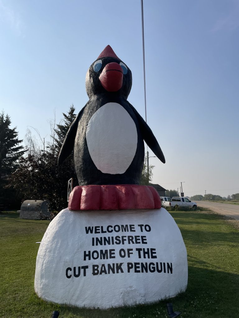 Ernie the Cut Bank Penguin in Innisfree.