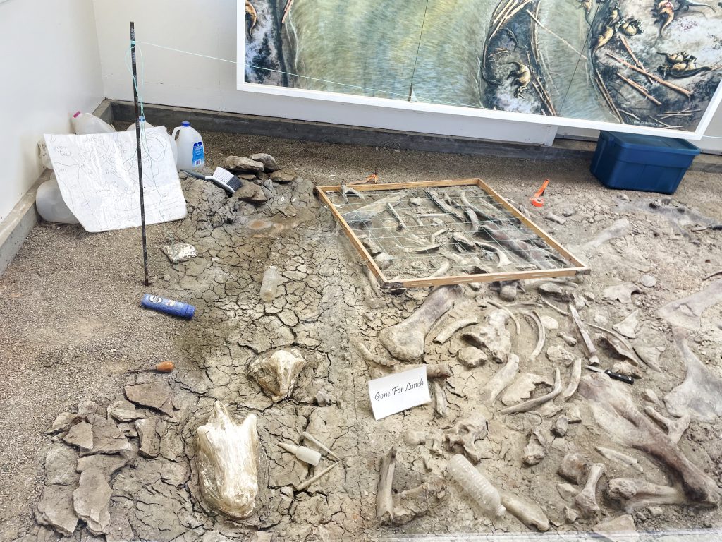 Interior of a Fossil House in Dinosaur Provincial Park.