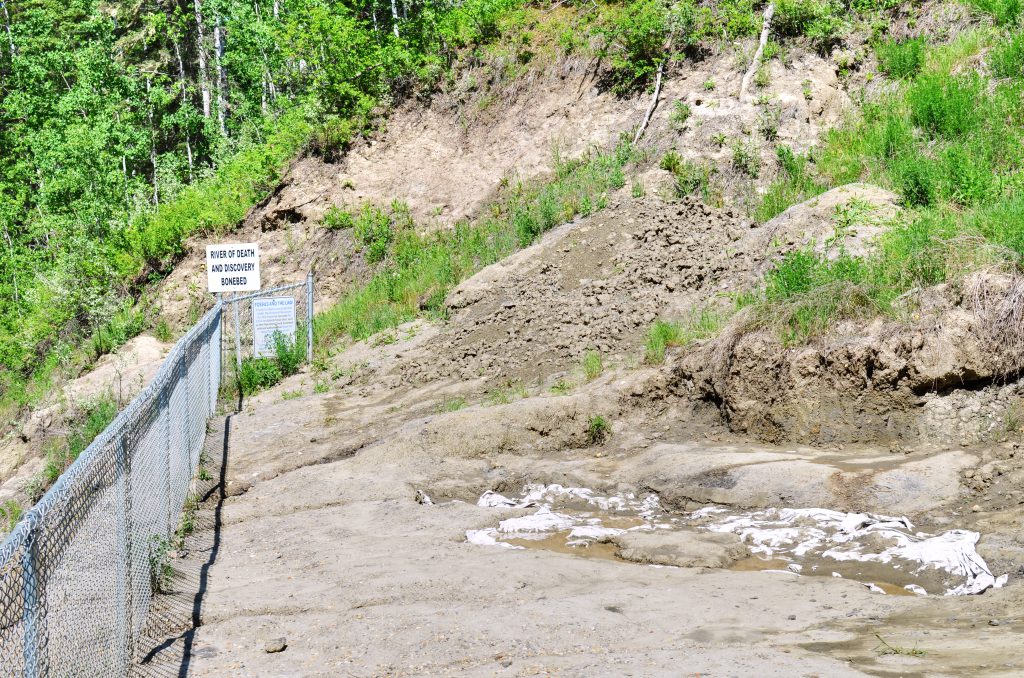 Bonebed near Pipestone Park.