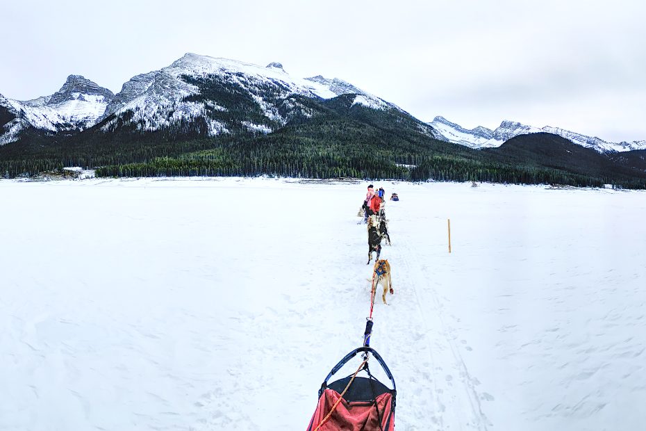 Dog sledding on Spray Lakes with Mad Dog and Englishmen.