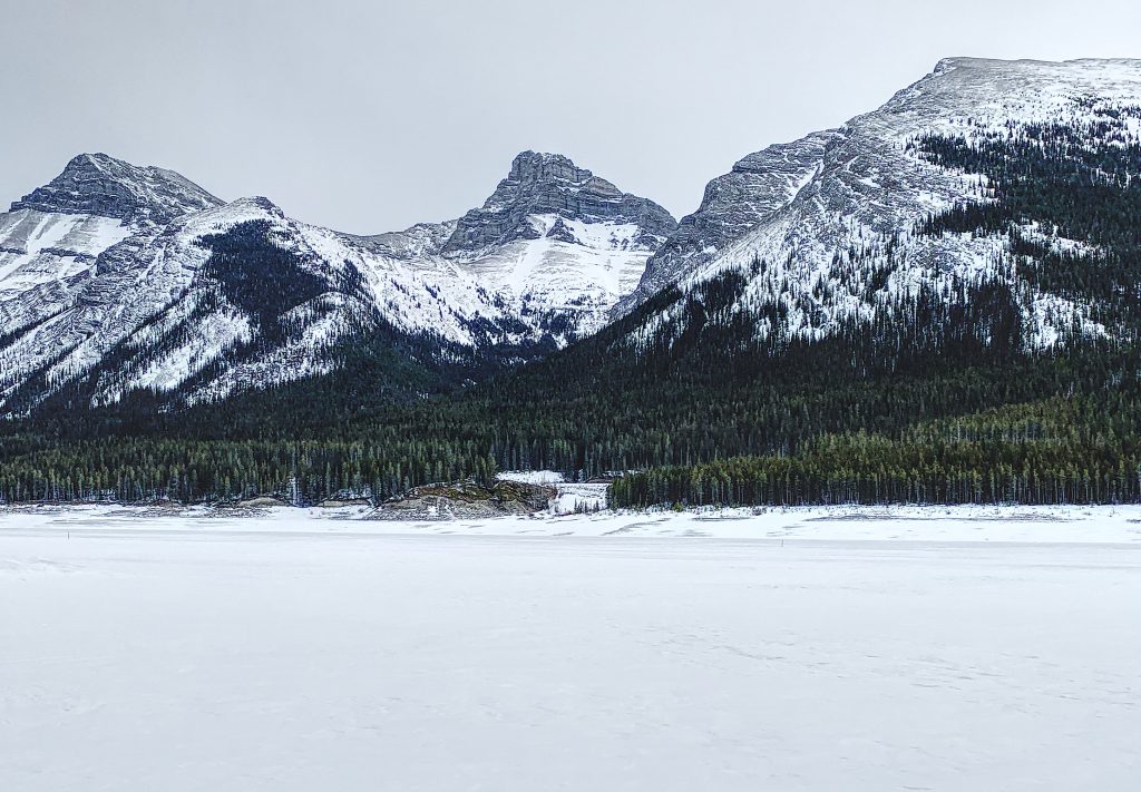 Mountain views while dog sledding on Spray Lakes.
