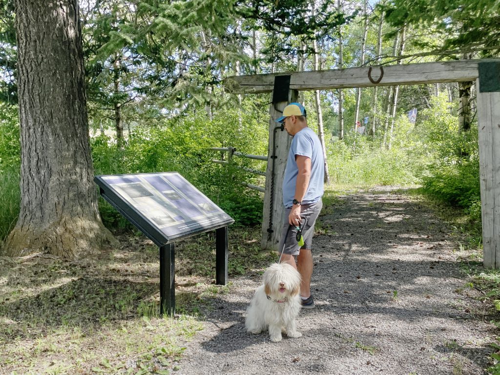 Man reads an interpretive sign at Hillcrest Mine Memorial Site with his dog.